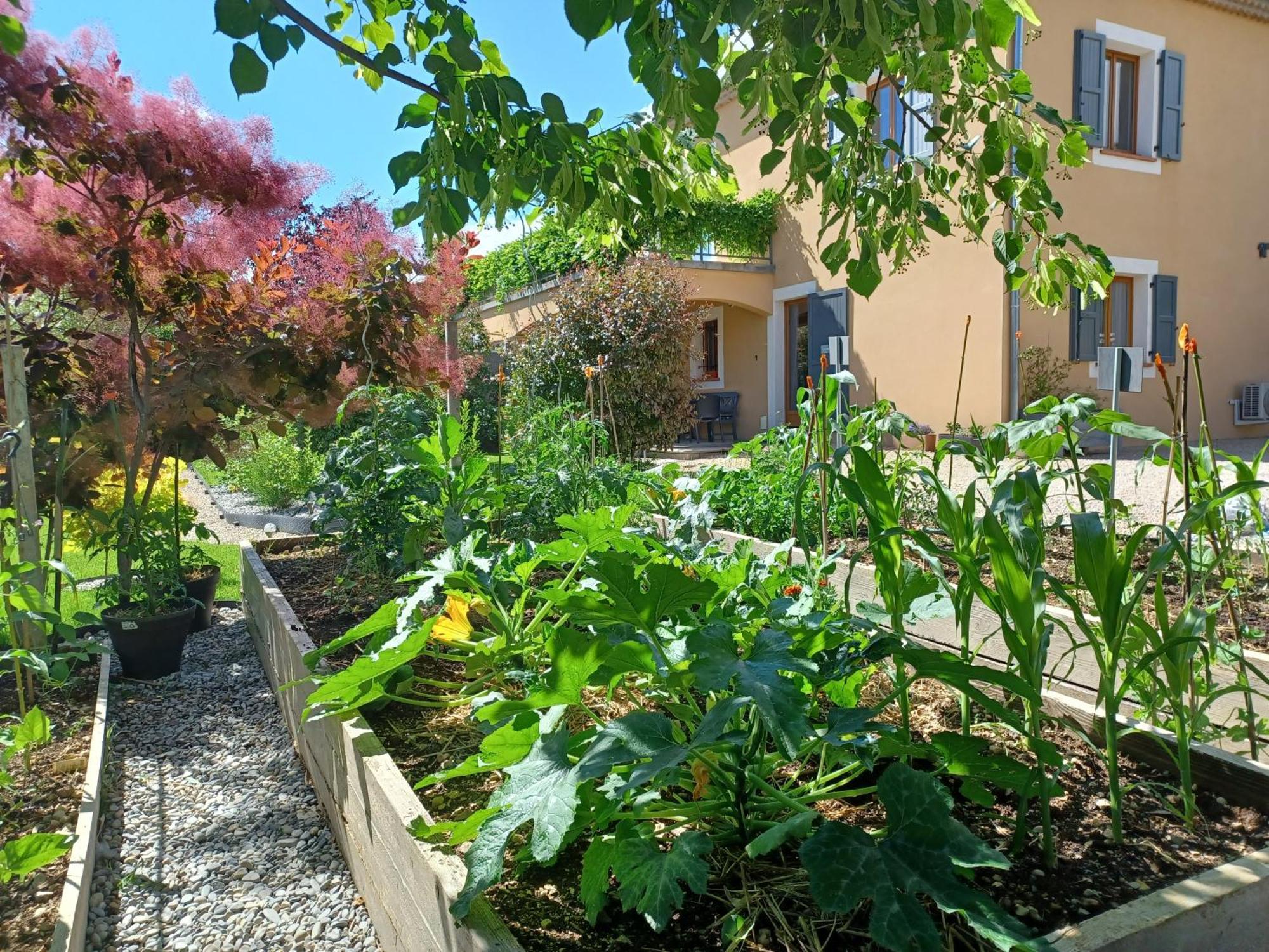 Appartement Entre Sisteron Et Gorges De La Meouge " Les Hauts De Toscane " Ribiers Luaran gambar