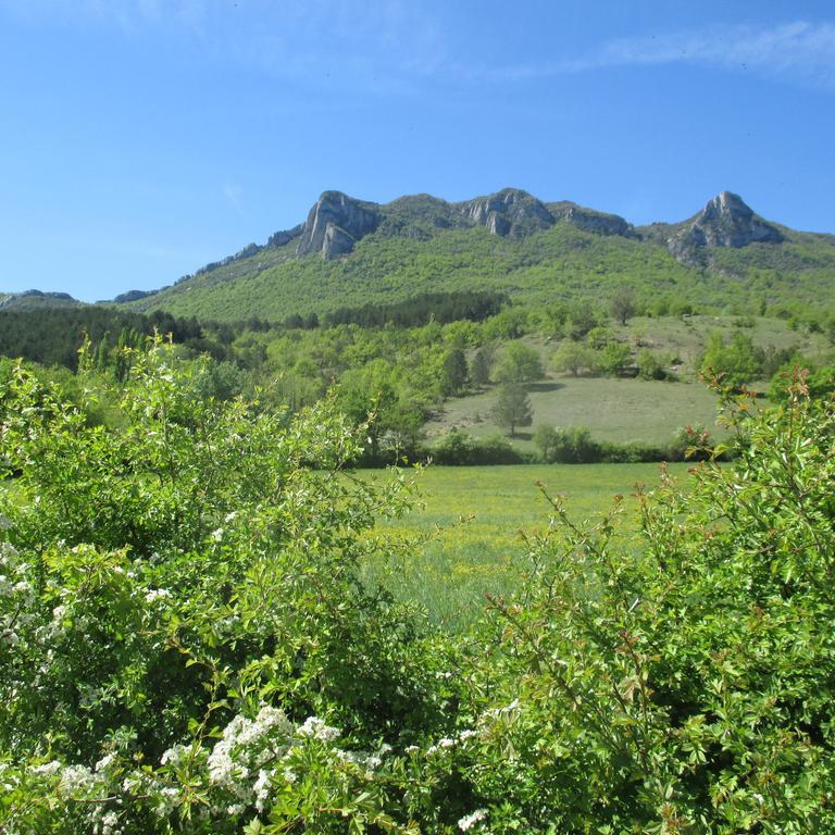 Appartement Entre Sisteron Et Gorges De La Meouge " Les Hauts De Toscane " Ribiers Luaran gambar